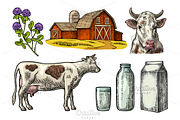 Set Milk farm. Cow clover bottle box