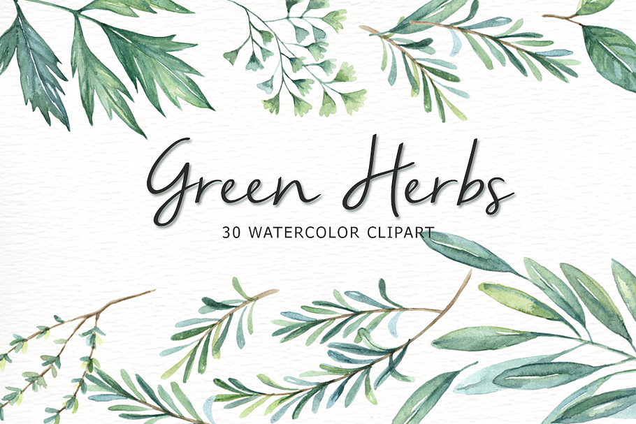 Green Herbs Watercolor clipart