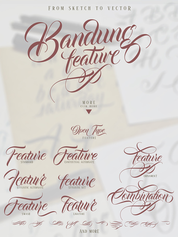 Bandung + Aceserif in Script Fonts - product preview 2