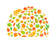Autumn leaves in circle shape
