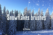 Real snowflakes brush