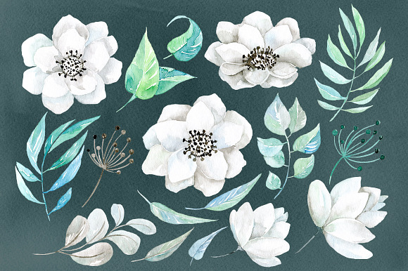 Watercolor white flowers 38 png in Graphics - product preview 1