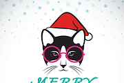 Merry christmas greeting cat card.