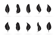 Vector group of feather.