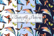 Butterfly Patterns