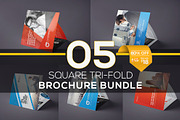 5 in 1 Square Tri-fold Brochure Set