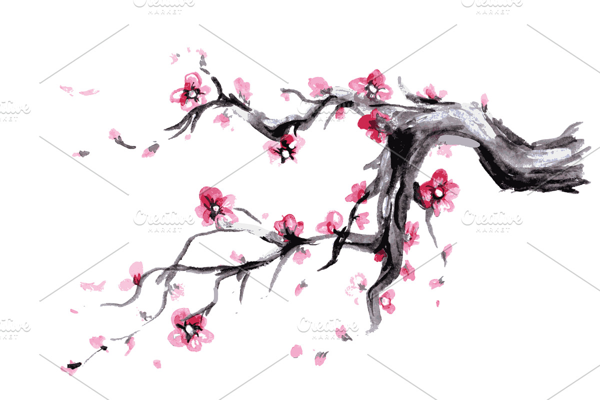 Sakura,Watercolor Spring blossoms in Illustrations - product preview 8