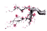Sakura,Watercolor Spring blossoms