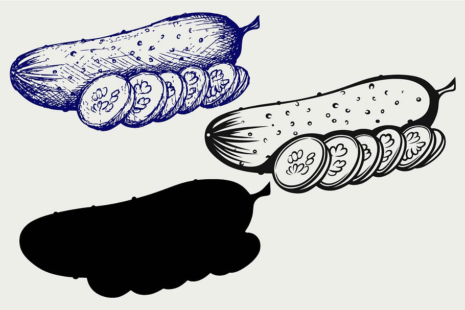 Cucumber and slices SVG in Illustrations - product preview 8