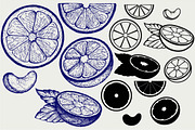 Oranges fruits SVG