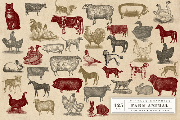 Vintage Farm Animal Vector Graphics in Objects - product preview 2