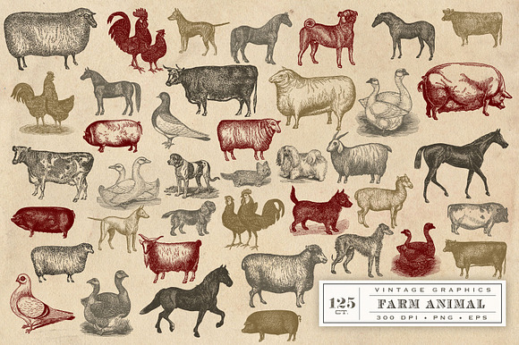 Vintage Farm Animal Vector Graphics in Objects - product preview 3