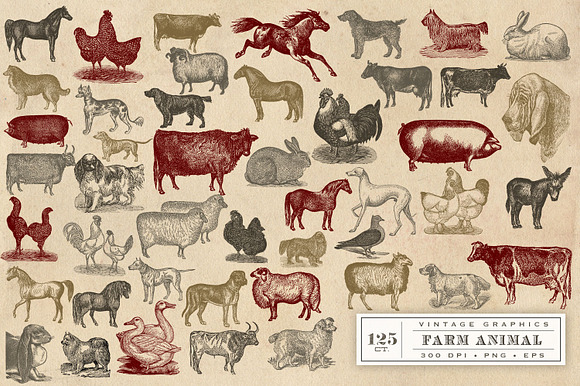 Vintage Farm Animal Vector Graphics in Objects - product preview 4