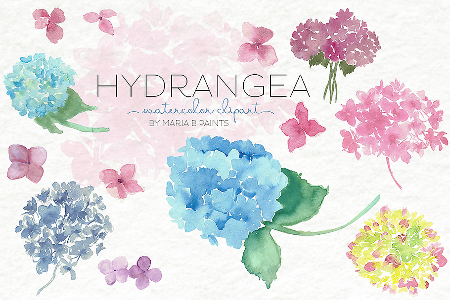 Watercolor Clip Art - Hydrangea in Illustrations - product preview 8