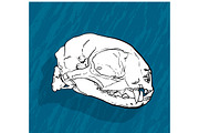 Animal skull with shadow on blue bac