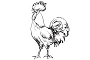 Cock sketch. New year symbol