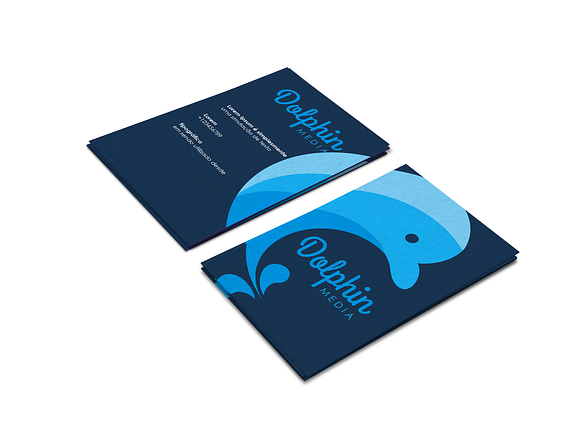 Dolphin Branding Kit in Branding Mockups - product preview 6