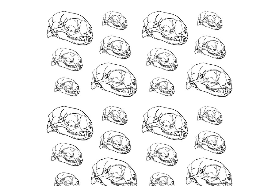 Seamless pattern of animal skull bac in Patterns - product preview 8