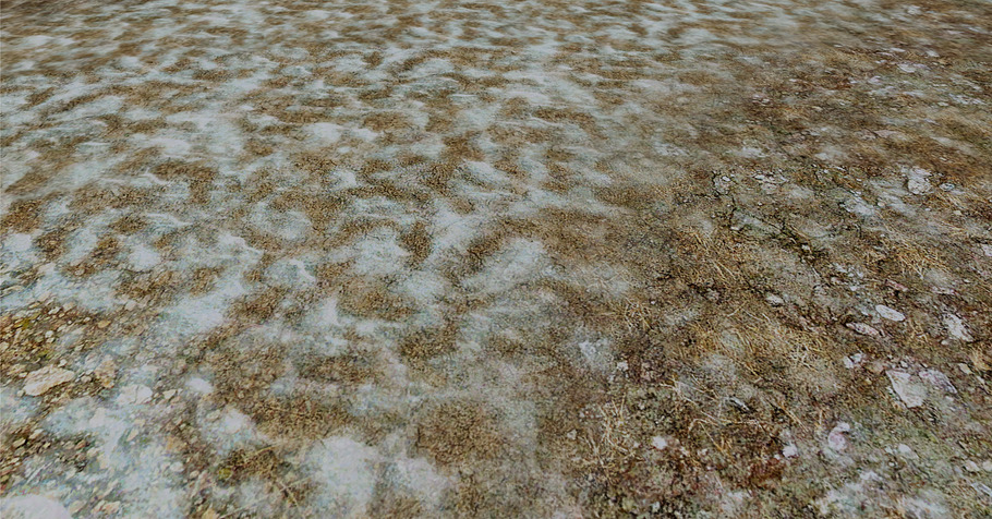 AUTUMN AND WINTER TEXTURE PACK in Organic - product preview 33