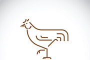 Vector of a chicken design.