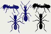 Portrait of ant SVG