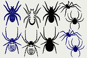 Many spiders SVG