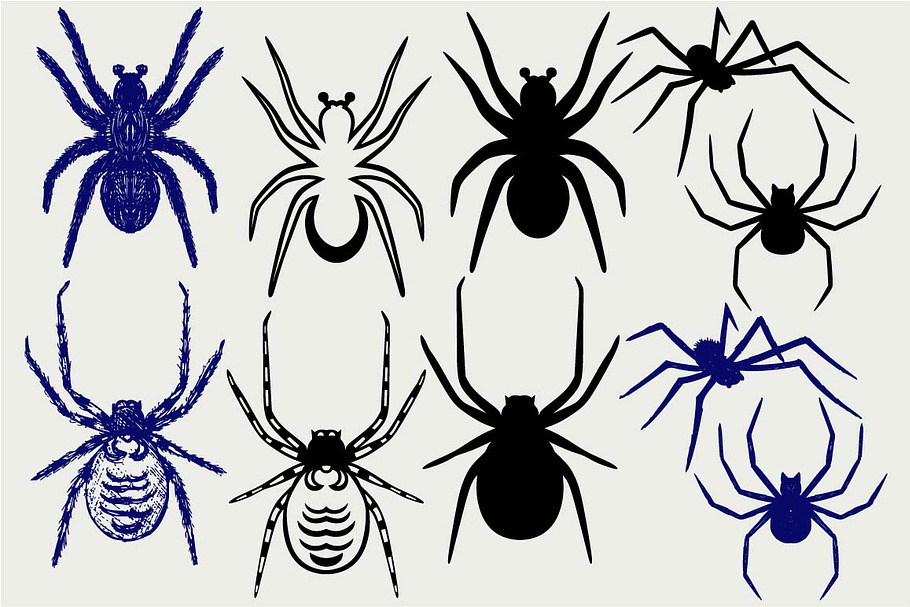 Many spiders SVG in Graphics - product preview 8