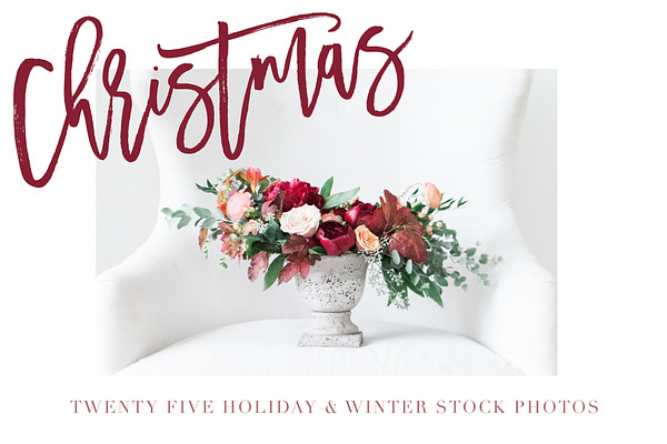 Holiday & Winter Stock Photos