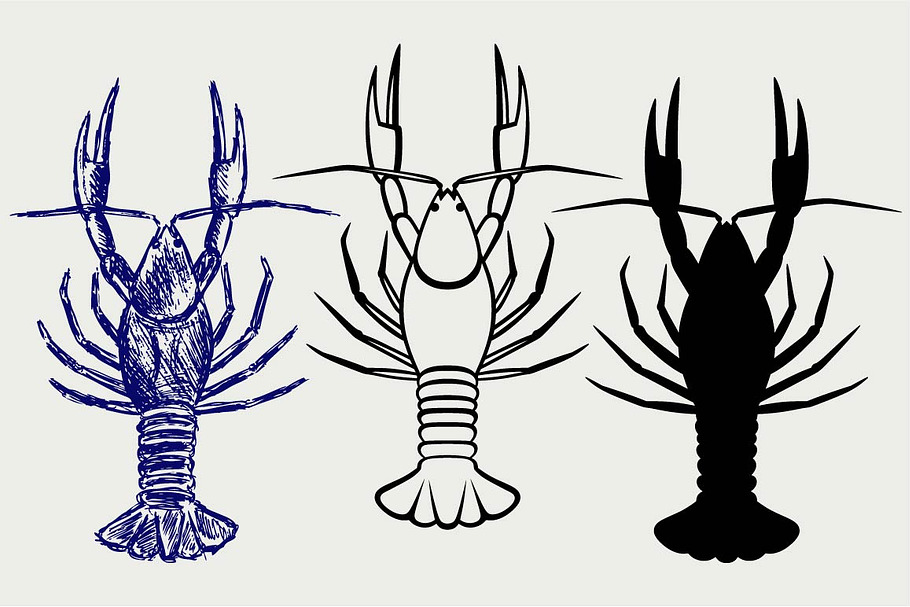 Crayfish, top view SVG
