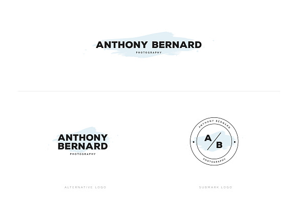 Maleboss Premade Branding Logos in Logo Templates - product preview 6