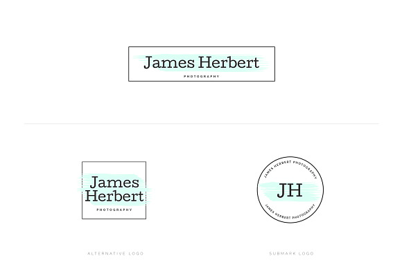 Maleboss Premade Branding Logos in Logo Templates - product preview 34