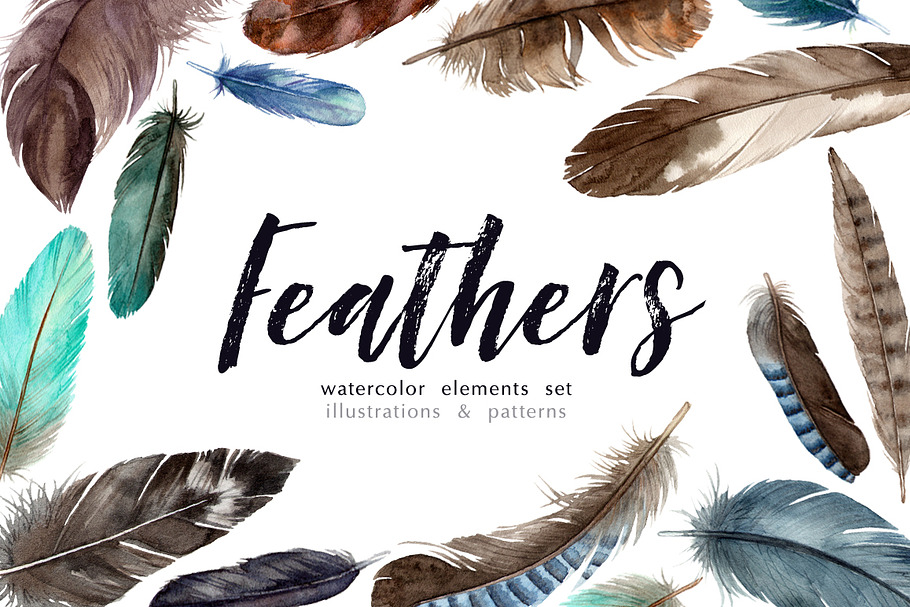 Feathers. Watercolor elements set