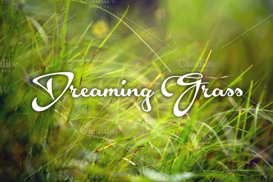 Dreaming Grass 8 photoset in Textures - product preview 8