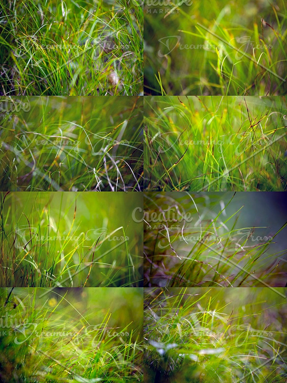 Dreaming Grass 8 photoset in Textures - product preview 1