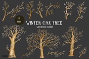Watercolor Clipart Winter Oak Tree