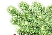 Christmas background fir branches