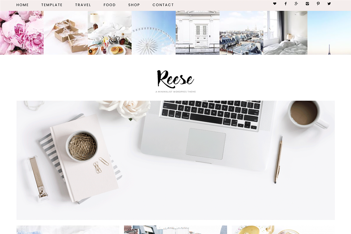 Wordpress Theme Reese in WordPress Blog Themes - product preview 8