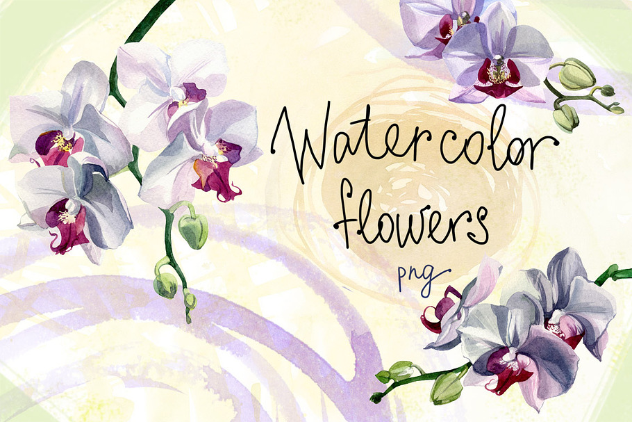 Watercolor flowers set - orchids in Illustrations - product preview 8