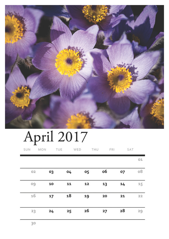 Floral PRINTABLE CALENDAR 2017 in Stationery Templates - product preview 3