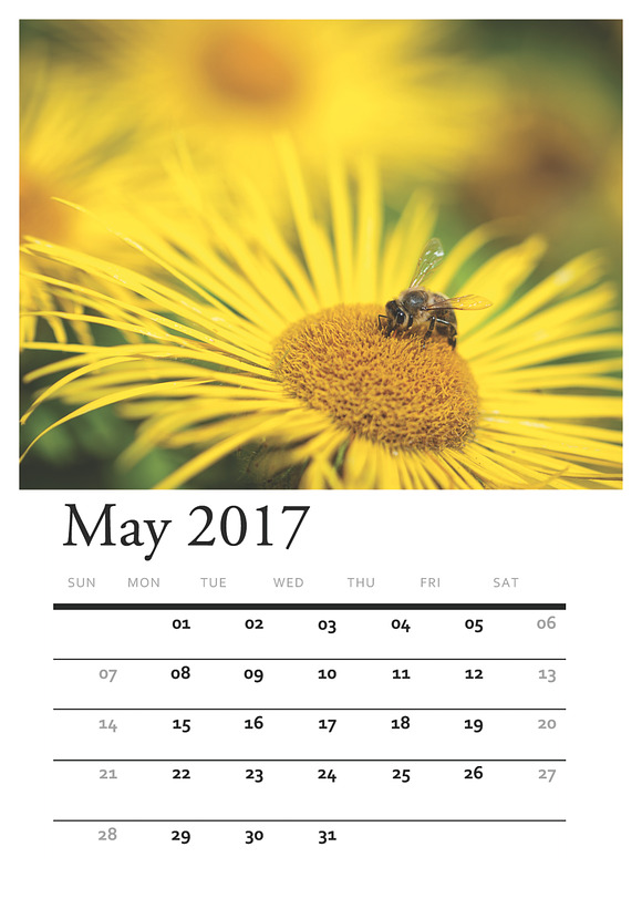 Floral PRINTABLE CALENDAR 2017 in Stationery Templates - product preview 4