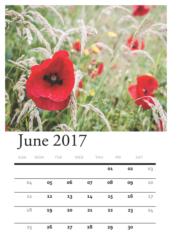 Floral PRINTABLE CALENDAR 2017 in Stationery Templates - product preview 5