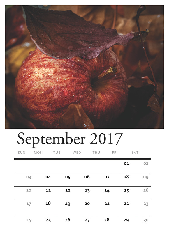 Floral PRINTABLE CALENDAR 2017 in Stationery Templates - product preview 8