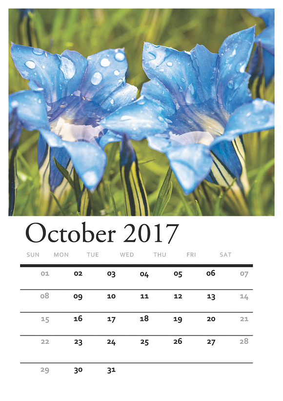 Floral PRINTABLE CALENDAR 2017 in Stationery Templates - product preview 9
