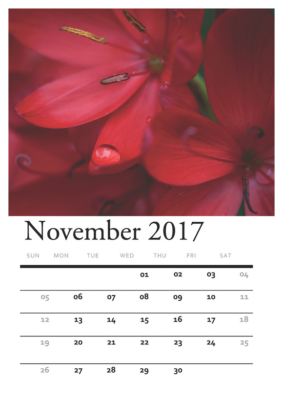 Floral PRINTABLE CALENDAR 2017 in Stationery Templates - product preview 10