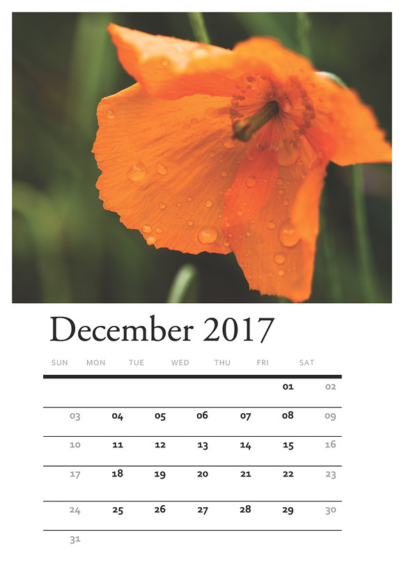 Floral PRINTABLE CALENDAR 2017 in Stationery Templates - product preview 11