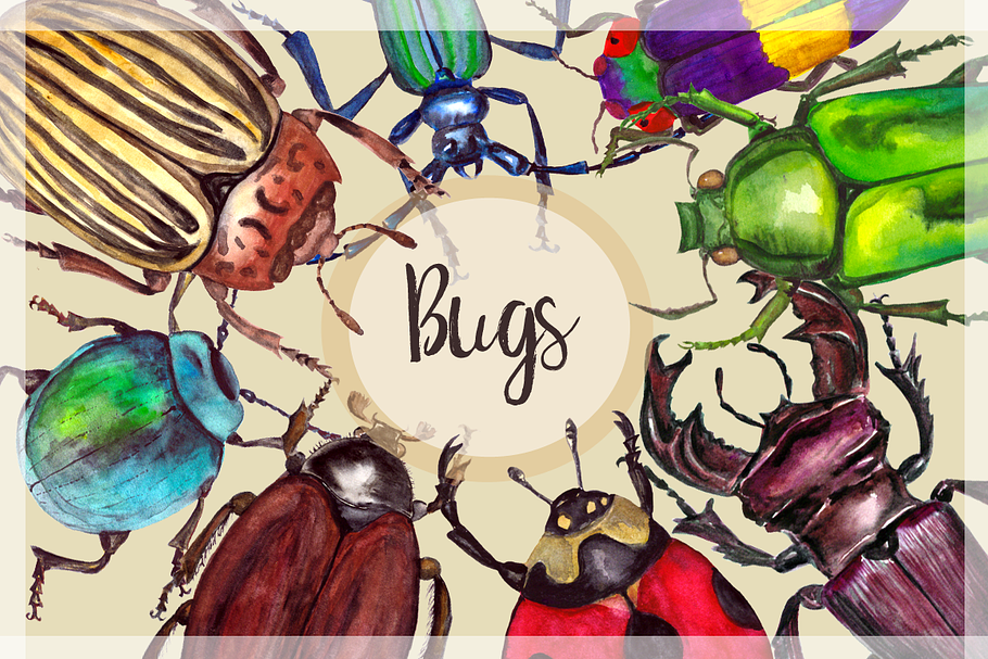 Watercolor Beetles Clipart & Print in Objects - product preview 8