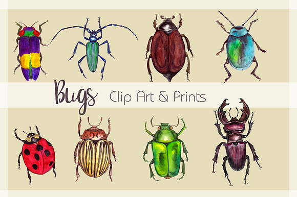 Watercolor Beetles Clipart & Print in Objects - product preview 1