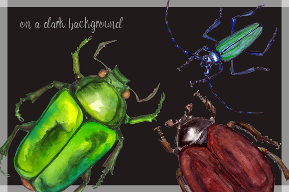 Watercolor Beetles Clipart & Print in Objects - product preview 3