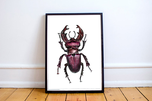 Watercolor Beetles Clipart & Print in Objects - product preview 4