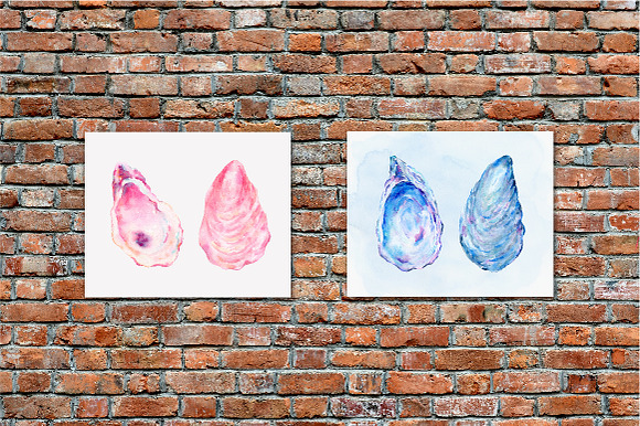 Watercolor Clipart Oyster Shell in Illustrations - product preview 2